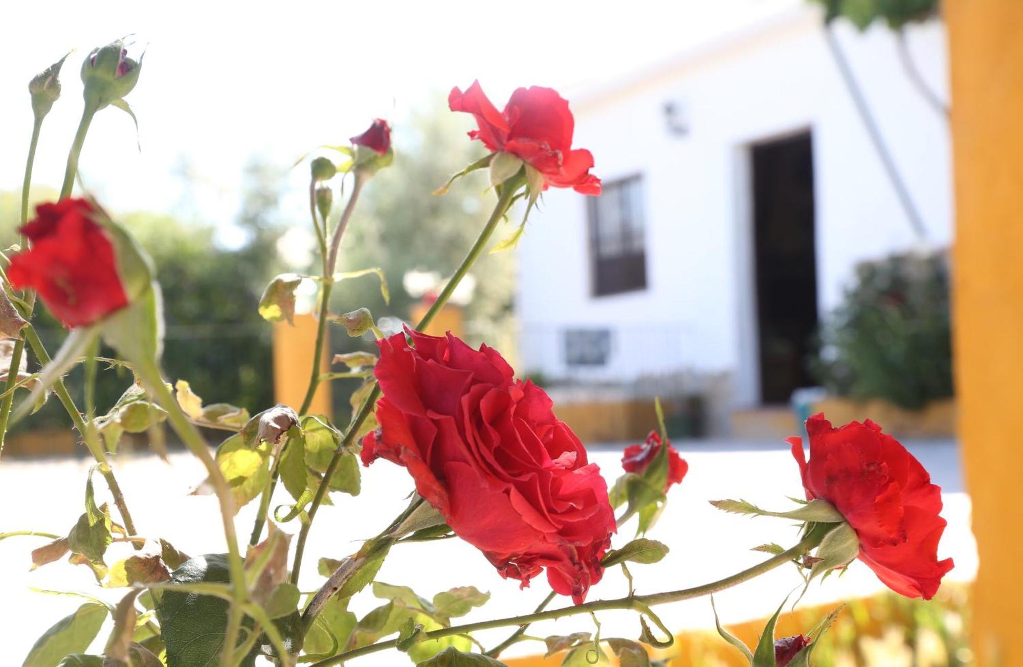 Casa Rural Huerta La Lapa Canete la Real エクステリア 写真
