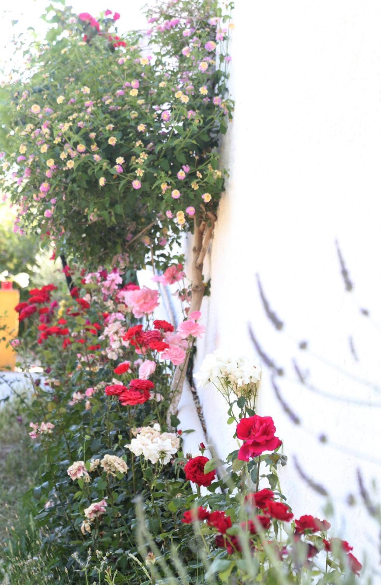Casa Rural Huerta La Lapa Canete la Real エクステリア 写真