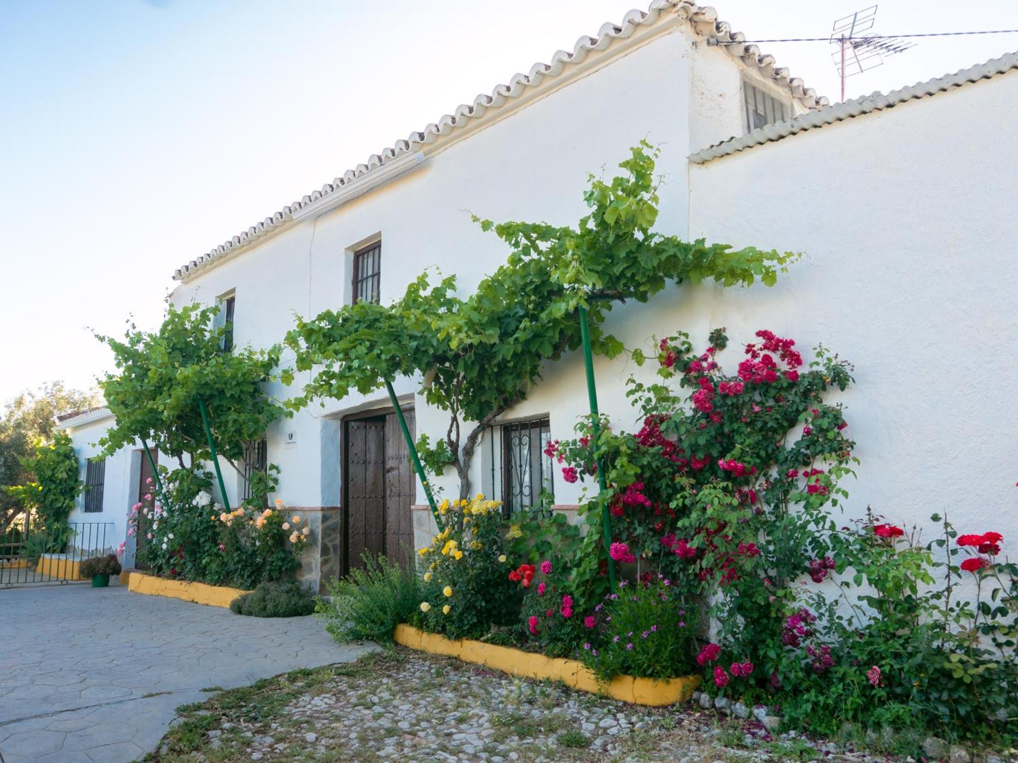 Casa Rural Huerta La Lapa Canete la Real エクステリア 写真